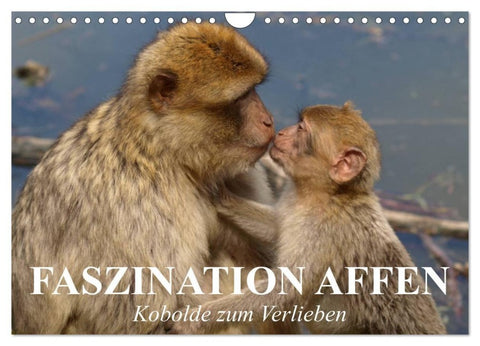 Faszination Affen. Kobolde zum Verlieben (Wandkalender 2027 DIN A4 quer), CALVENDO Monatskalender