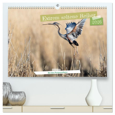 Extrem seltene Reiher (hochwertiger Premium Wandkalender 2026 DIN A2 quer), Kunstdruck in Hochglanz