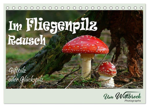 Im Fliegenpilz Rausch (Tischkalender 2027 DIN A5 quer), CALVENDO Monatskalender