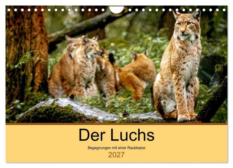 Der Luchs - Begegnungen mit einer Raubkatze (Wandkalender 2027 DIN A4 quer), CALVENDO Monatskalender
