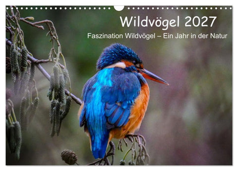 Wildvögel 2027 (Wandkalender 2027 DIN A3 quer), CALVENDO Monatskalender