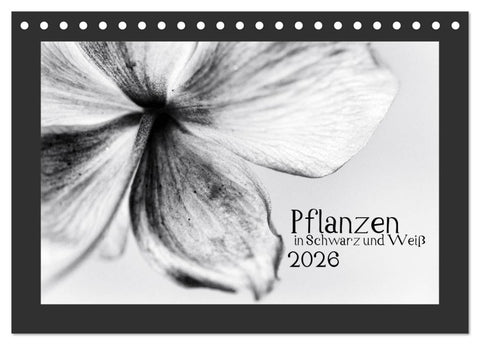 Pflanzen in Schwarz und Weiß (Tischkalender 2026 DIN A5 quer), CALVENDO Monatskalender