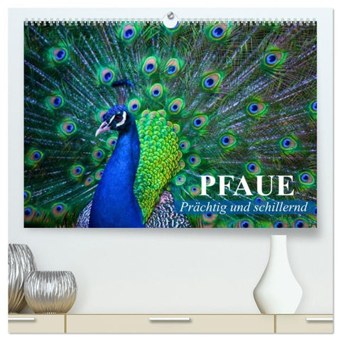 Pfaue. Prächtig und schillernd (hochwertiger Premium Wandkalender 2026 DIN A2 quer), Kunstdruck in Hochglanz