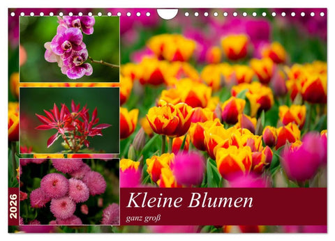 Kleine Blumen ganz groß (Wandkalender 2026 DIN A4 quer), CALVENDO Monatskalender