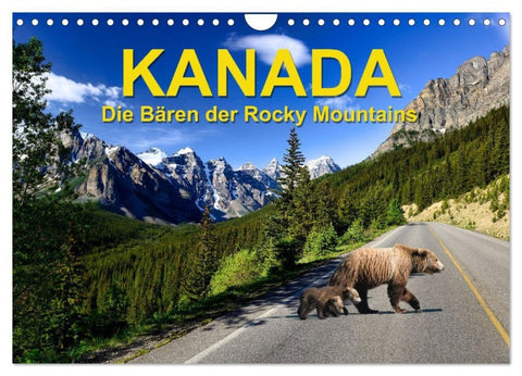 KANADA - Die Bären der Rocky Mountains (Wandkalender 2027 DIN A4 quer), CALVENDO Monatskalender