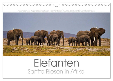 Elefanten - Sanfte Riesen in Afrika (Wandkalender 2026 DIN A4 quer), CALVENDO Monatskalender
