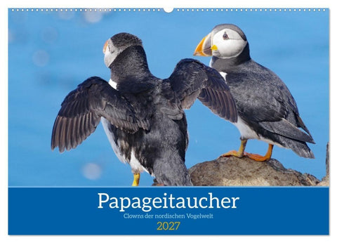 Papageitaucher - Clowns der nordischen Vogelwelt (Wandkalender 2027 DIN A2 quer), CALVENDO Monatskalender