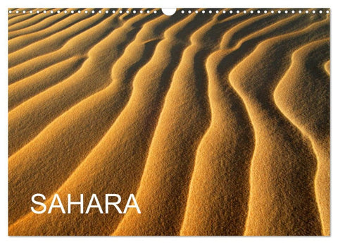 SAHARA (Wandkalender 2026 DIN A3 quer), CALVENDO Monatskalender