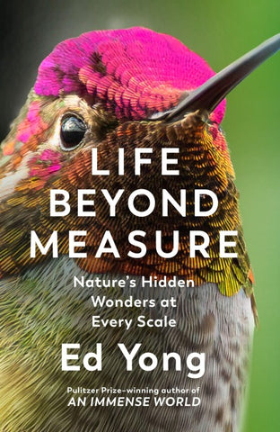 Life Beyond Measure