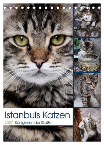 Istanbuls Katzen (Tischkalender 2027 DIN A5 hoch), CALVENDO Monatskalender