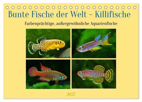 Bunte Fische der Welt - Killifische (Tischkalender 2027 DIN A5 quer), CALVENDO Monatskalender