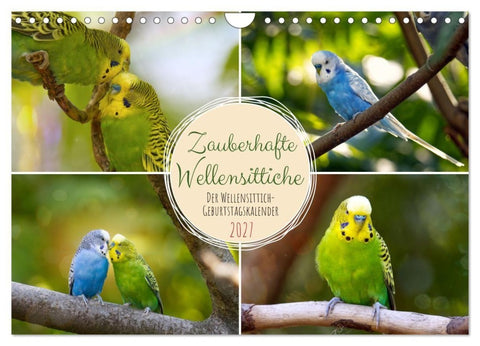 Zauberhafte Wellensittiche (Wandkalender 2027 DIN A4 quer), CALVENDO Monatskalender