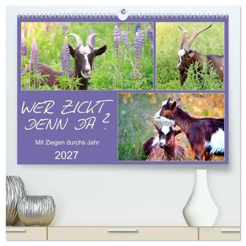 Wer zickt denn da? Mit Ziegen durchs Jahr (hochwertiger Premium Wandkalender 2027 DIN A2 quer), Kunstdruck in Hochglanz