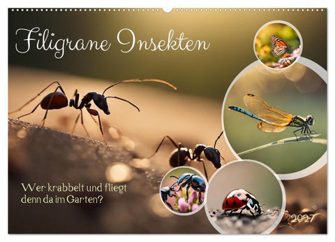 Filigrane Insekten (Wandkalender 2027 DIN A2 quer), CALVENDO Monatskalender