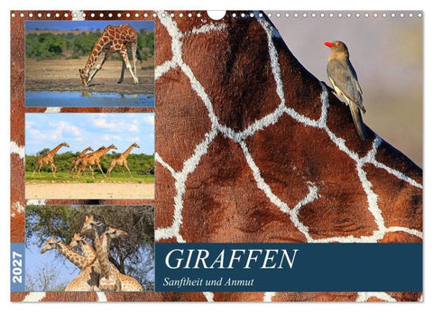 Giraffen - Sanftheit und Anmut (Wandkalender 2027 DIN A3 quer), CALVENDO Monatskalender