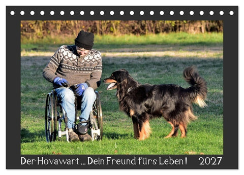 Der Hovawart... Dein Freund fürs Leben! (Tischkalender 2027 DIN A5 quer), CALVENDO Monatskalender