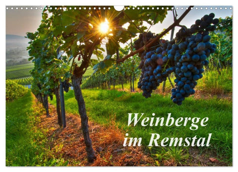 Weinberge im Remstal (Wandkalender 2026 DIN A3 quer), CALVENDO Monatskalender