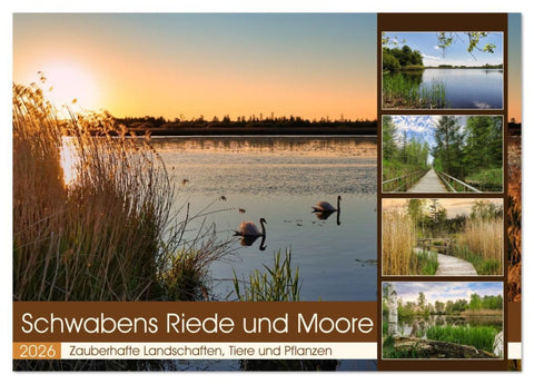 Schwabens Riede und Moore (Tischkalender 2026 DIN A5 quer), CALVENDO Monatskalender