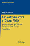 Geometrodynamics of Gauge Fields