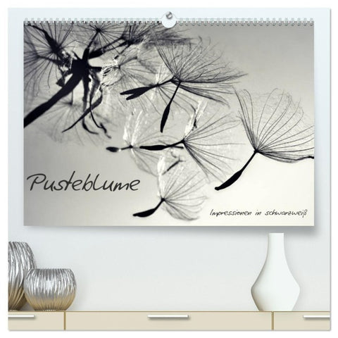 Pusteblume - Impressionen in schwarzweiß (hochwertiger Premium Wandkalender 2027 DIN A2 quer), Kunstdruck in Hochglanz