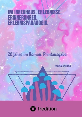 Im Irrenhaus. Erlebnisse, Erinnerungen, Erlebnispädagogik.