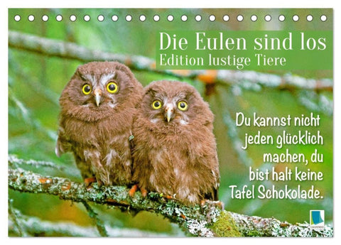 Die Eulen sind los: Edition lustige Tiere (Tischkalender 2027 DIN A5 quer), CALVENDO Monatskalender