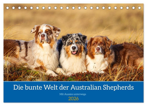 Mit Aussies unterwegs - Die bunte Welt der Australian Shepherds (Tischkalender 2026 DIN A5 quer), CALVENDO Monatskalender