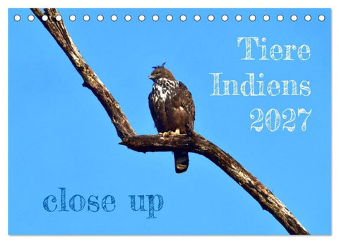 Tiere Indiens close up (Tischkalender 2027 DIN A5 quer), CALVENDO Monatskalender