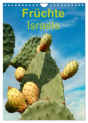 Früchte Israels (Wandkalender 2026 DIN A4 hoch), CALVENDO Monatskalender