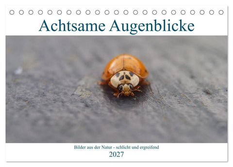 Achtsame Augenblicke (Tischkalender 2027 DIN A5 quer), CALVENDO Monatskalender