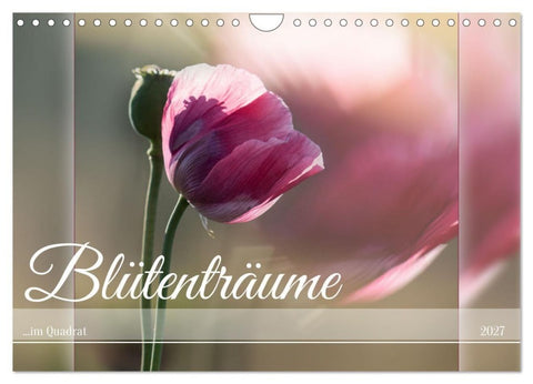 Blütenträume - im Quadrat (Wandkalender 2027 DIN A4 quer), CALVENDO Monatskalender