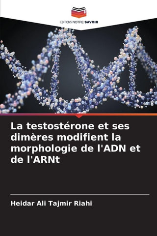 La testostérone et ses dimères modifient la morphologie de l'ADN et de l'ARNt