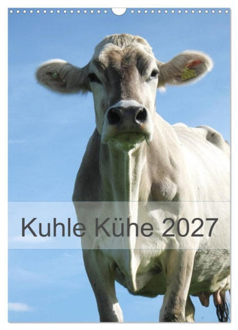 Kuhle Kühe 2027 (Wandkalender 2027 DIN A3 hoch), CALVENDO Monatskalender