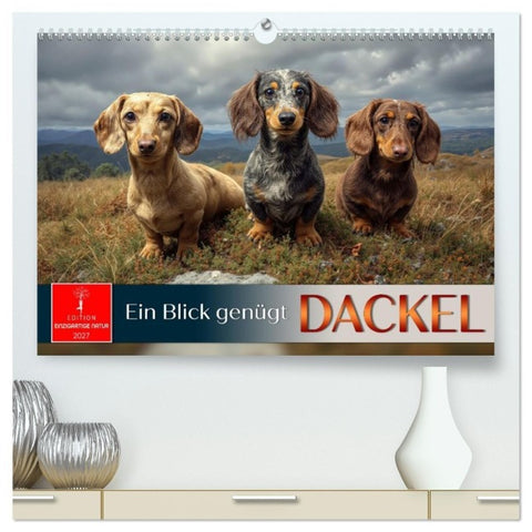 Dackel - ein Blick genügt (hochwertiger Premium Wandkalender 2027 DIN A2 quer), Kunstdruck in Hochglanz