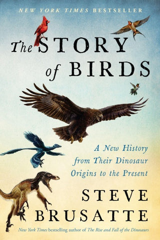 The Story of Birds