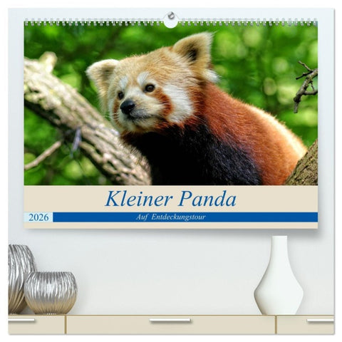 Kleiner Panda auf Entdeckungstour (hochwertiger Premium Wandkalender 2026 DIN A2 quer), Kunstdruck in Hochglanz
