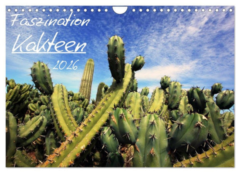 Faszination Kakteen (Wandkalender 2026 DIN A4 quer), CALVENDO Monatskalender