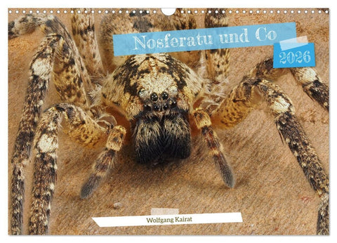 Nosferatu und Co. (Wandkalender 2026 DIN A3 quer), CALVENDO Monatskalender