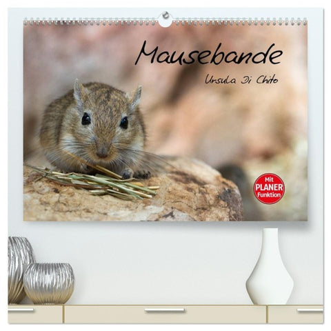 Mausebande (hochwertiger Premium Wandkalender 2027 DIN A2 quer), Kunstdruck in Hochglanz