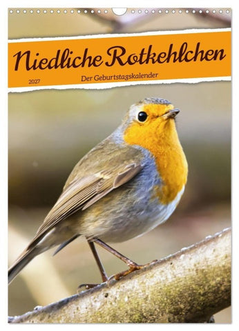Niedliche Rotkehlchen (Wandkalender 2027 DIN A3 hoch), CALVENDO Monatskalender