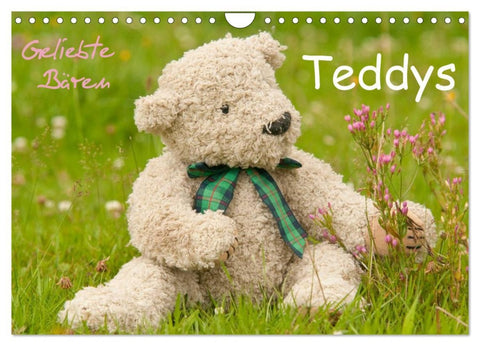 Geliebte Bären - Teddys (Wandkalender 2026 DIN A4 quer), CALVENDO Monatskalender
