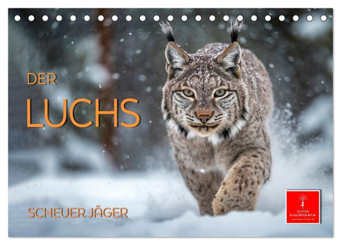 Der Luchs - scheuer Jäger (Tischkalender 2027 DIN A5 quer), CALVENDO Monatskalender