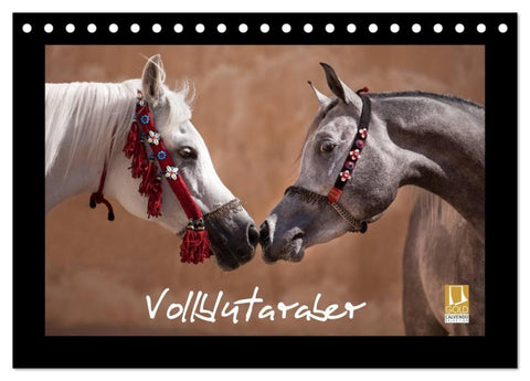 Vollblutaraber (Tischkalender 2027 DIN A5 quer), CALVENDO Monatskalender