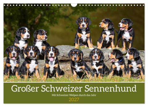 Großer Schweizer Sennenhund - Mit Schweizer Welpen durch das Jahr (Wandkalender 2027 DIN A3 quer), CALVENDO Monatskalender