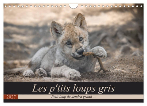 Les p'tits loups gris (Calendrier mural 2027 DIN A4 vertical), CALVENDO calendrier mensuel