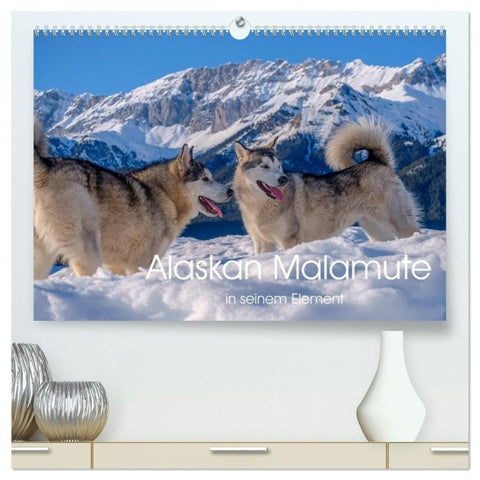 Alaskan Malamute in seinem Element (hochwertiger Premium Wandkalender 2027 DIN A2 quer), Kunstdruck in Hochglanz