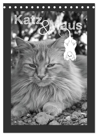 Katz & Maus (Tischkalender 2027 DIN A5 hoch), CALVENDO Monatskalender