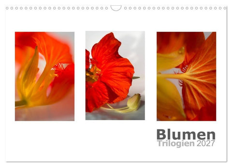 Blumen Trilogien (Wandkalender 2027 DIN A3 quer), CALVENDO Monatskalender