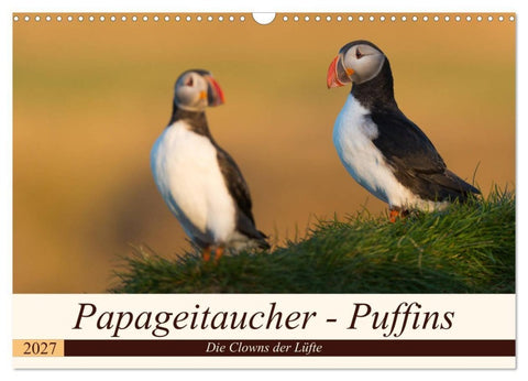 Papageitaucher - Puffins (Wandkalender 2027 DIN A3 quer), CALVENDO Monatskalender