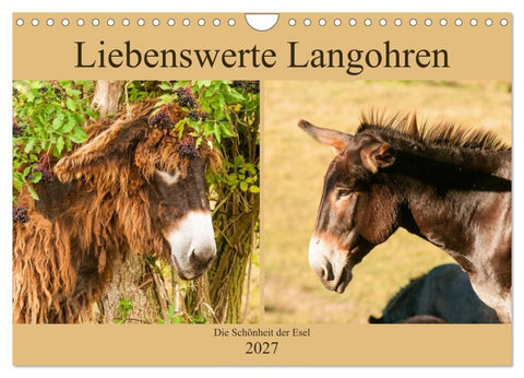 Liebenswerte Langohren - Die Schönheit der Esel (Wandkalender 2027 DIN A4 quer), CALVENDO Monatskalender